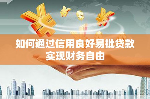 中西如何通过信用良好易批贷款实现财务自由