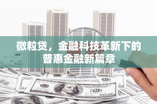 中西微粒贷，金融科技革新下的普惠金融新篇章