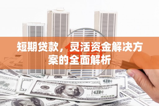 中西短期贷款，灵活资金解决方案的全面解析