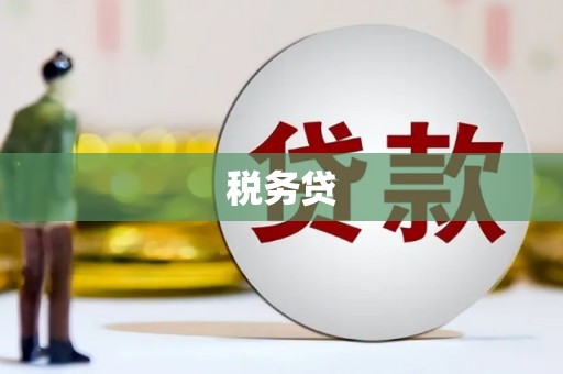 中西税务贷