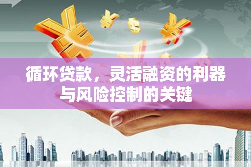 中西循环贷款，灵活融资的利器与风险控制的关键
