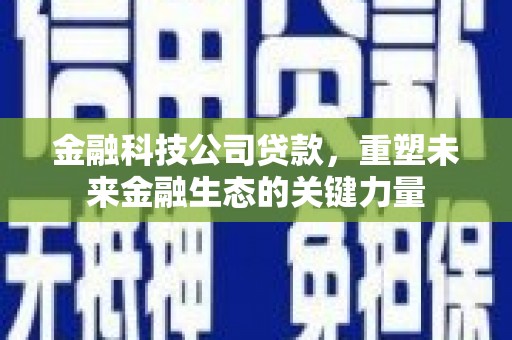 中西金融科技公司贷款，重塑未来金融生态的关键力量