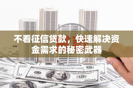 中西不看征信贷款，快速解决资金需求的秘密武器