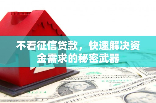 中西不看征信贷款，快速解决资金需求的秘密武器