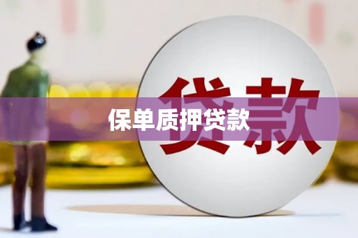 中西保单质押贷款