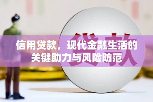 中西信用贷款，现代金融生活的关键助力与风险防范