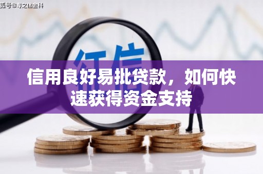 中西信用良好易批贷款，如何快速获得资金支持