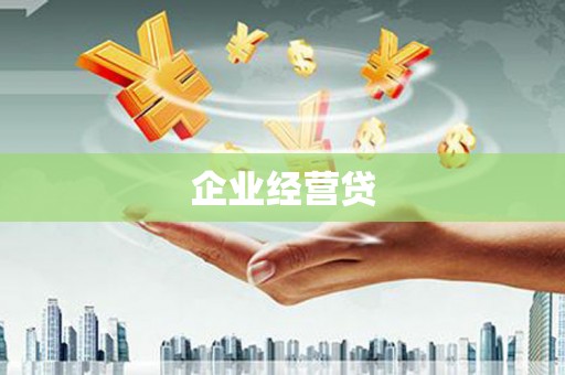 中西企业经营贷