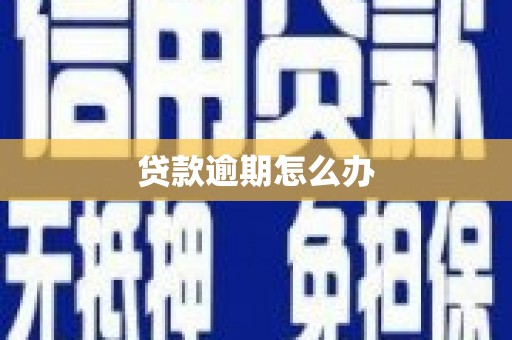 中西贷款逾期怎么办