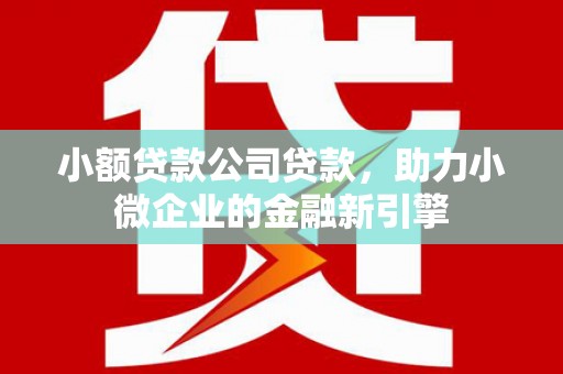 中西小额贷款公司贷款，助力小微企业的金融新引擎