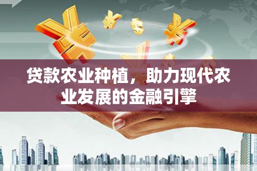 中西贷款农业种植，助力现代农业发展的金融引擎