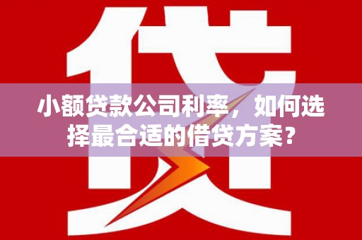 中西小额贷款公司利率，如何选择最合适的借贷方案？