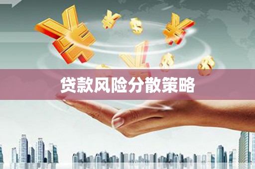中西贷款风险分散策略