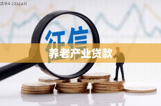 中西养老产业贷款