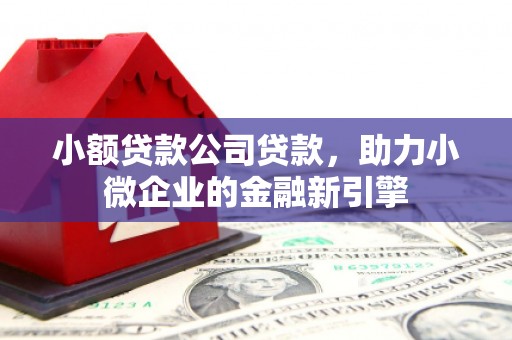 中西小额贷款公司贷款，助力小微企业的金融新引擎
