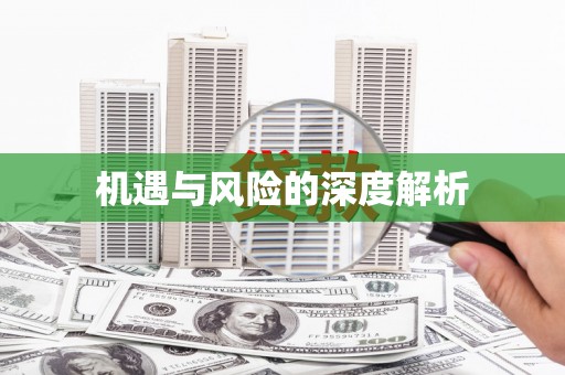 中西机遇与风险的深度解析