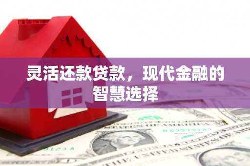 中西灵活还款贷款，现代金融的智慧选择