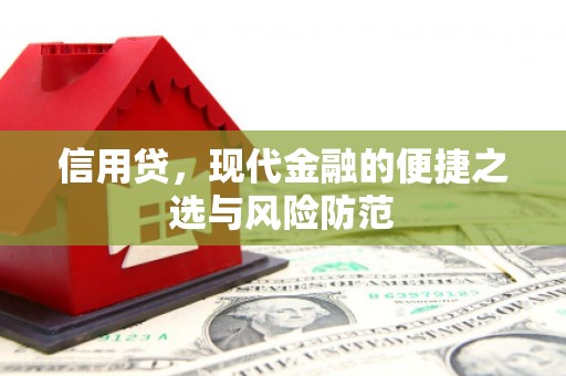 中西信用贷，现代金融的便捷之选与风险防范