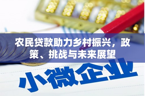 中西农民贷款助力乡村振兴，政策、挑战与未来展望