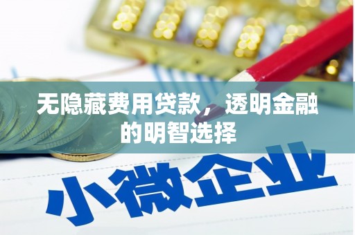 中西无隐藏费用贷款，透明金融的明智选择