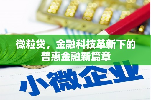 中西微粒贷，金融科技革新下的普惠金融新篇章