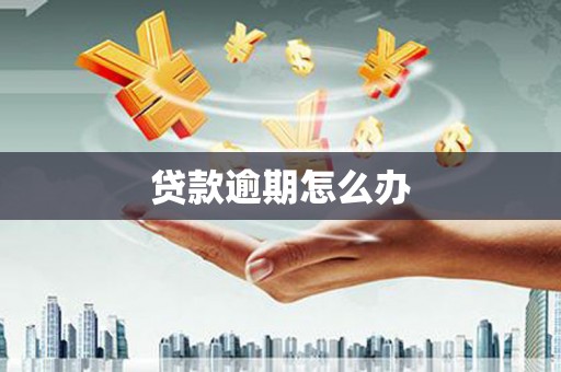 中西贷款逾期怎么办
