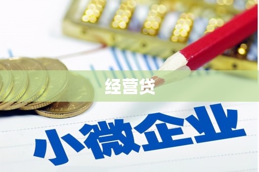 中西经营贷