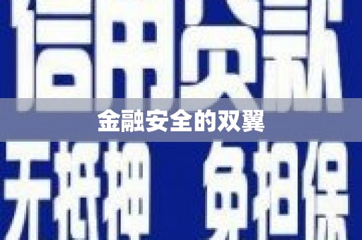 中西金融安全的双翼