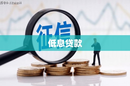 中西低息贷款
