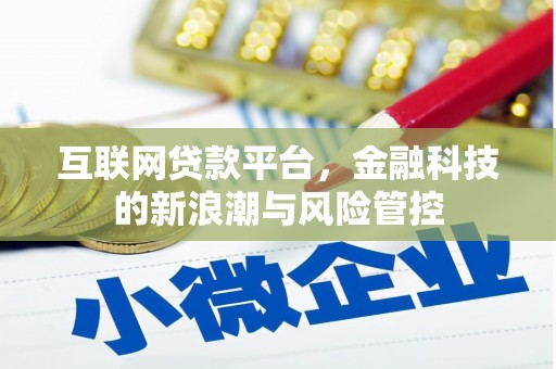 中西互联网贷款平台，金融科技的新浪潮与风险管控
