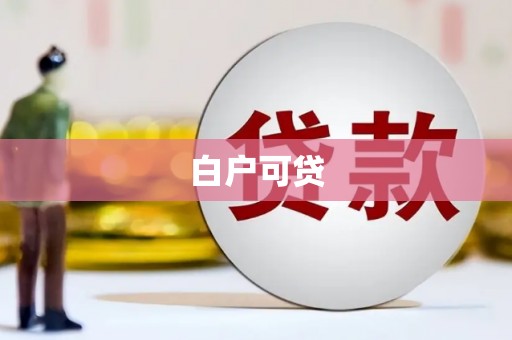 中西白户可贷