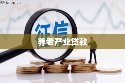 中西养老产业贷款
