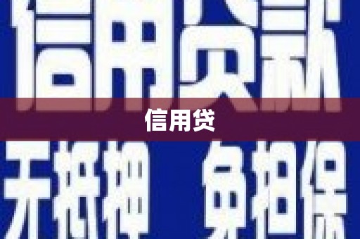 中西信用贷