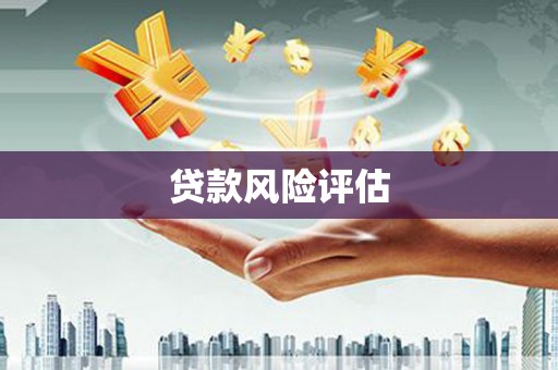 中西贷款风险评估