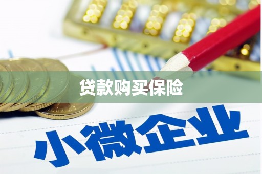 中西贷款购买保险