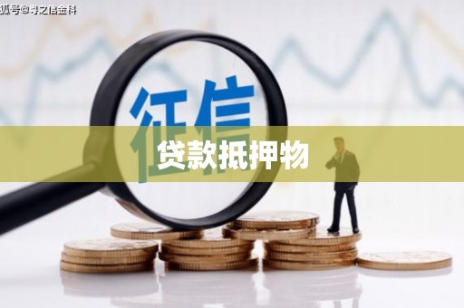 中西贷款抵押物