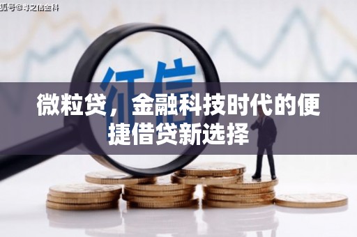 中西微粒贷，金融科技时代的便捷借贷新选择