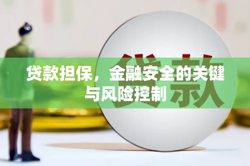 中西贷款担保，金融安全的关键与风险控制