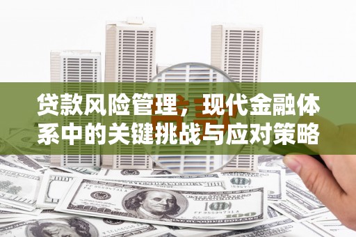 中西贷款风险管理，现代金融体系中的关键挑战与应对策略