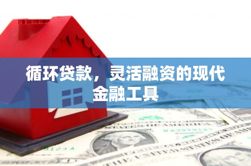 中西循环贷款，灵活融资的现代金融工具