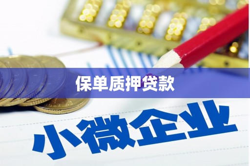 中西保单质押贷款