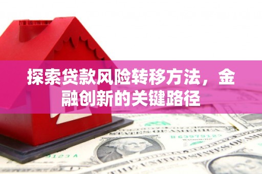 中西探索贷款风险转移方法，金融创新的关键路径