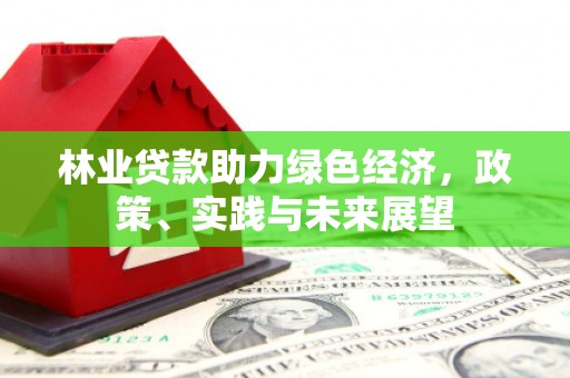 中西林业贷款助力绿色经济，政策、实践与未来展望