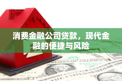 中西消费金融公司贷款，现代金融的便捷与风险