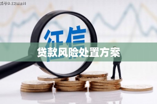 中西贷款风险处置方案