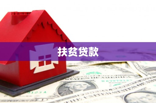 中西扶贫贷款
