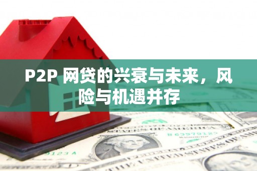 中西P2P 网贷的兴衰与未来，风险与机遇并存