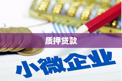中西质押贷款