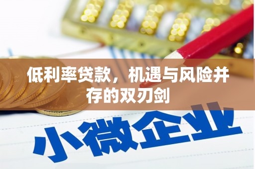 中西低利率贷款，机遇与风险并存的双刃剑