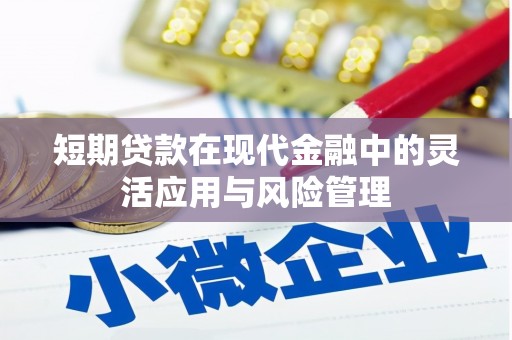 中西短期贷款在现代金融中的灵活应用与风险管理